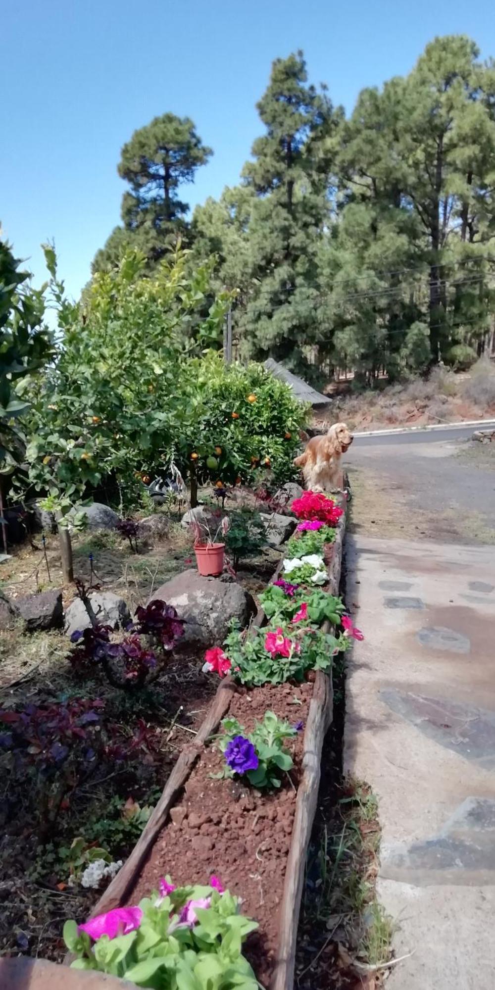 Appartamento Casa Fagundo Puntagorda Esterno foto