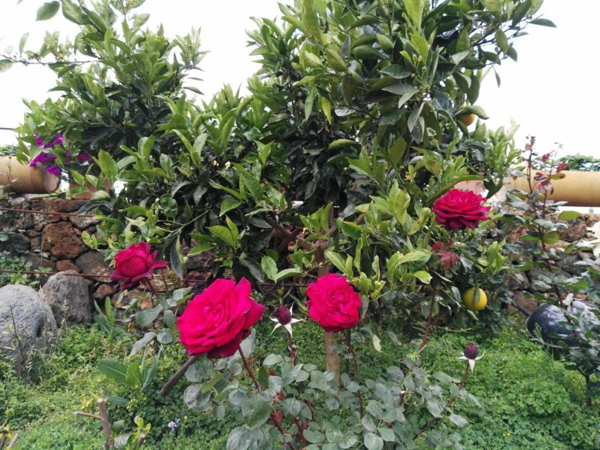 Appartamento Casa Fagundo Puntagorda Esterno foto