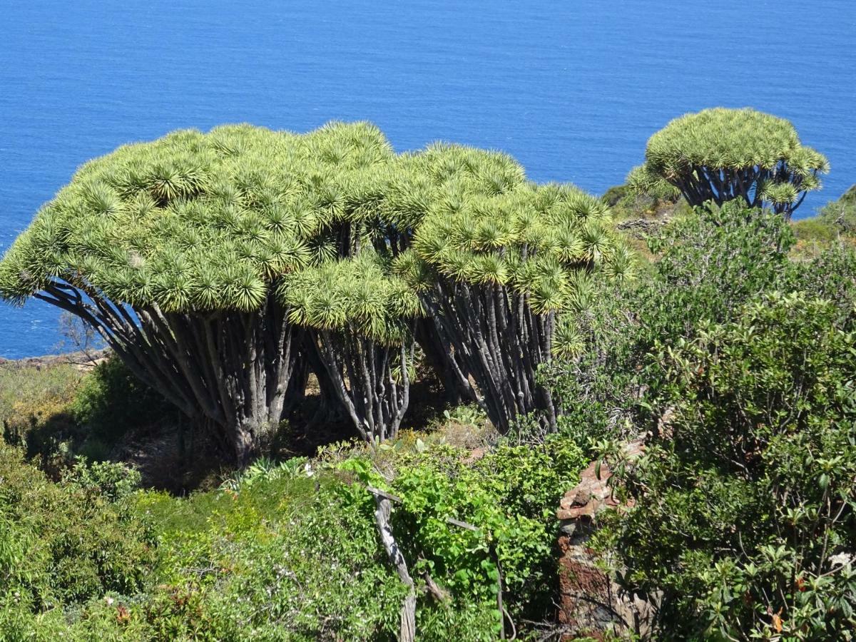 Appartamento Casa Fagundo Puntagorda Esterno foto